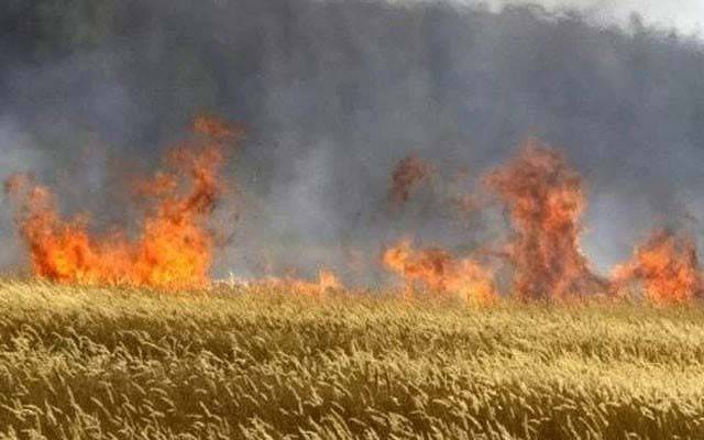 آسمانی بجلی گرنے سے گندم کے ڈھیر کو آگ لگ گئی