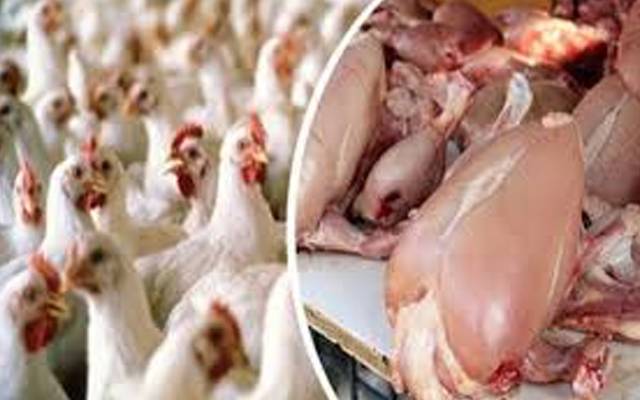شہر قائد میں منافع خوروں کا راج برقرار، برائلر مرغی کے گوشت کی قیمت میں  20روپے اضافہ ریکارڈ کیا گیا ہے۔   
