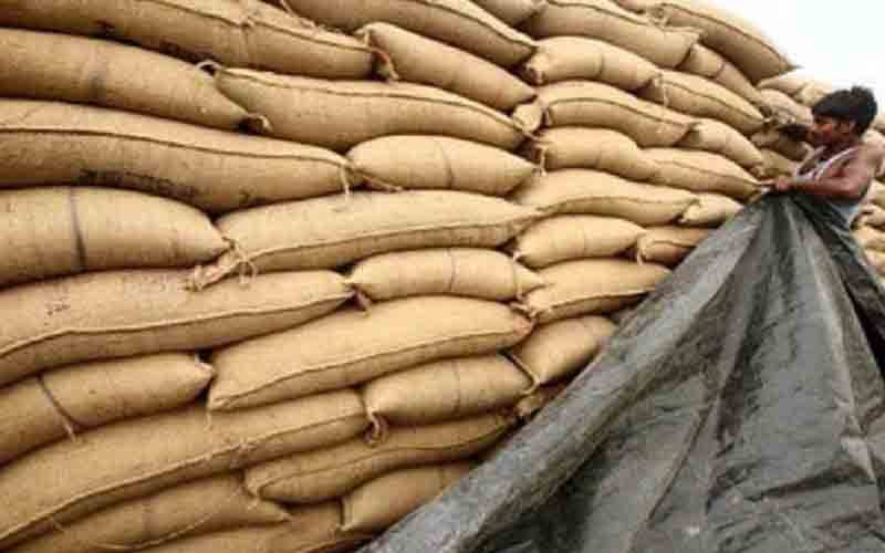 پنجاب کے کسانوں سے 37 ہزار میٹرک ٹن گندم خرید لی ہے ،محکمہ خوراک کے پی کے 