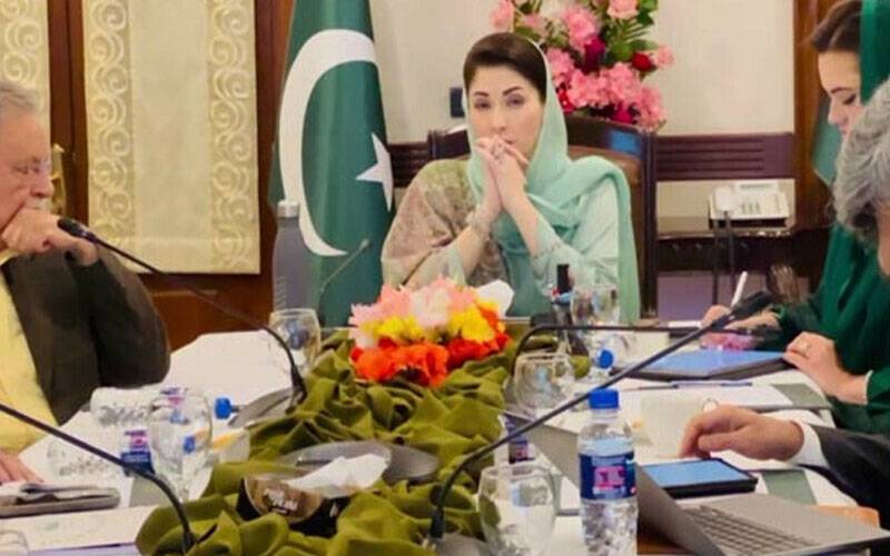 مریم نواز سے عالمی اداروں کے وفد کی ملاقات