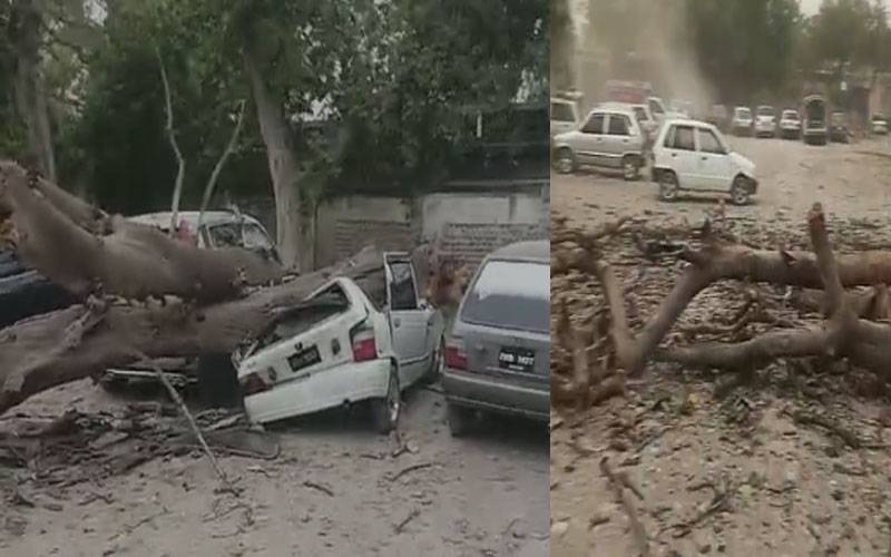 پشاور میں آندھی اور طوفان، درخت گرنے سے پولیس اہلکار جاں بحق