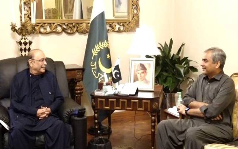 محسن نقوی کی صدر آصف زرداری سے ملاقات، اہم امور پر تبادلہ خیال