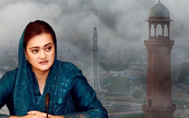 خود فیلڈ میں جا کر اینٹوں کے بھٹے گرائے: مریم اورنگزیب