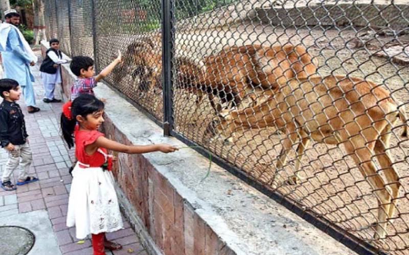 پابندیوں میں نرمی ، سموگ کی وجہ سے بند تفریحی گاہیں کھول دی گئیں